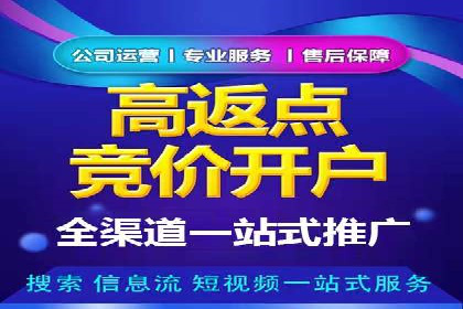 顶级SEM服务公司案例解析